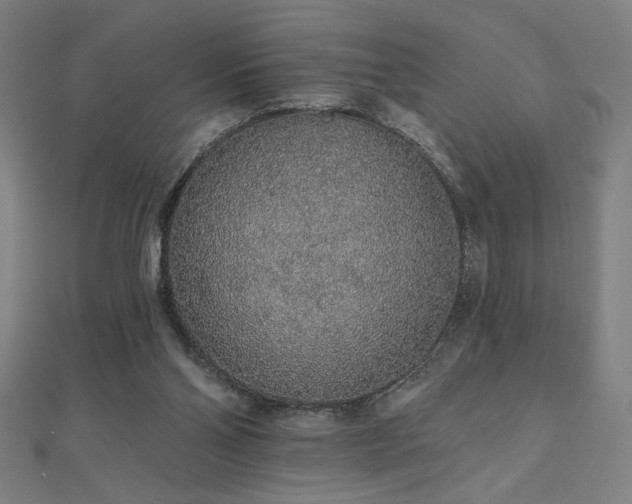 X0000112520110200908171403