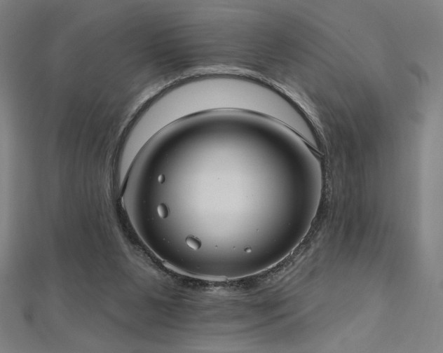 X0000112520111200908171403