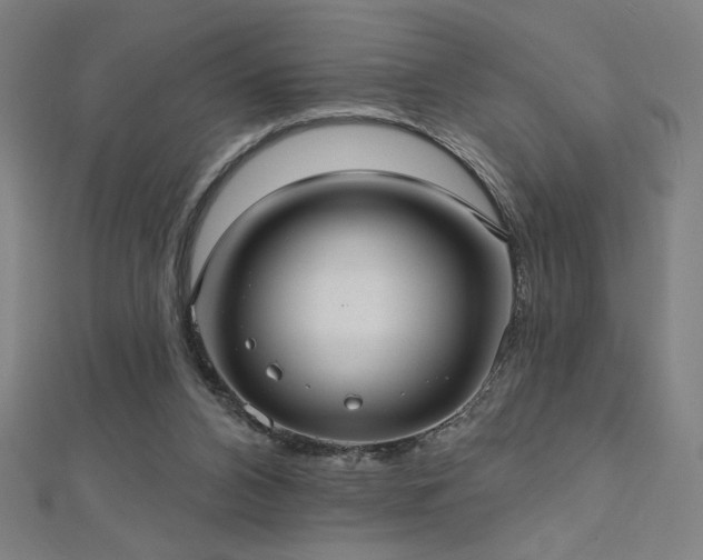 X0000112520112200908171403