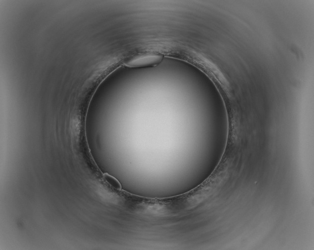 X0000112520113200908171403