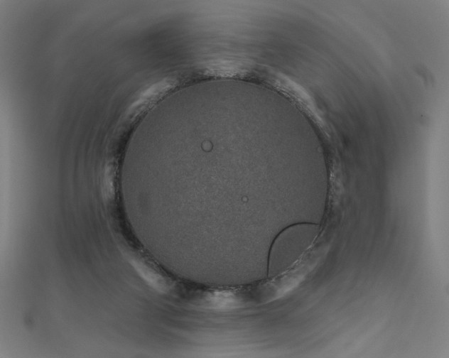 X0000112520114200908171403