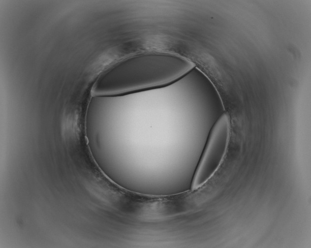 X0000112520116200908171403