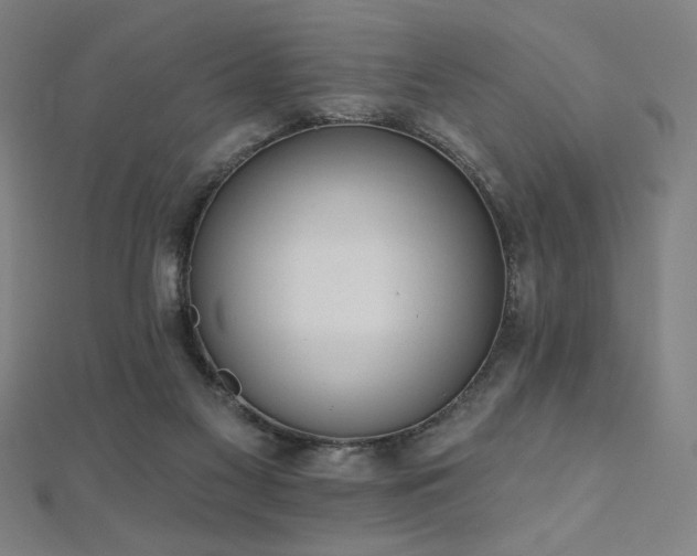 X0000112520117200908171403