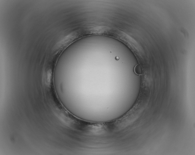 X0000112520118200908171403