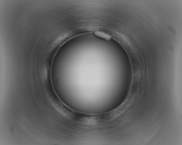 X0000112520120200908171403
