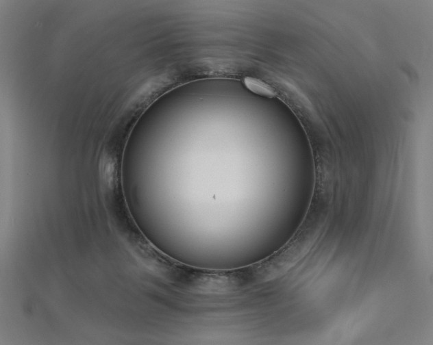 X0000112520123200908171403