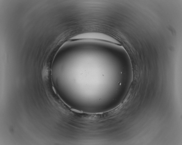 X0000112520124200908171403