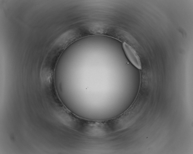 X0000112520125200908171403