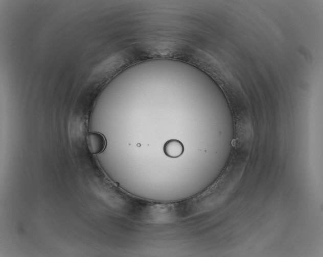 X0000112520126200908171403