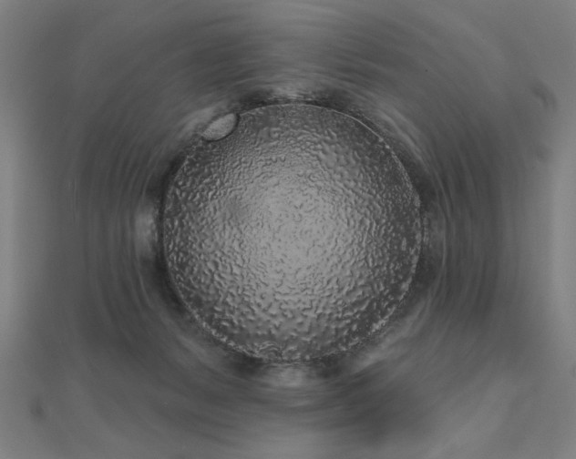 X0000112520127200908171403