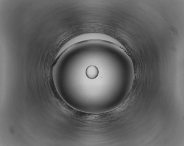 X0000112520132200908171403