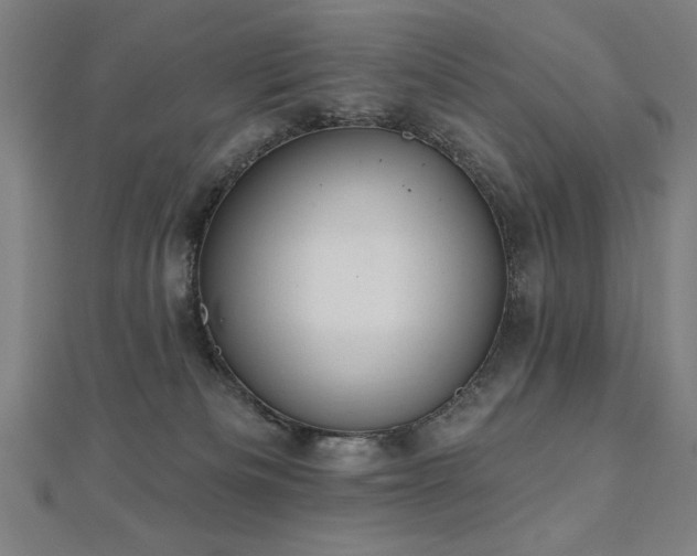 X0000112520133200908171403