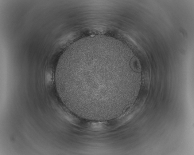 X0000112520134200908171403