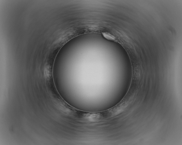 X0000112520135200908171403