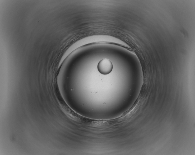 X0000112520136200908171403