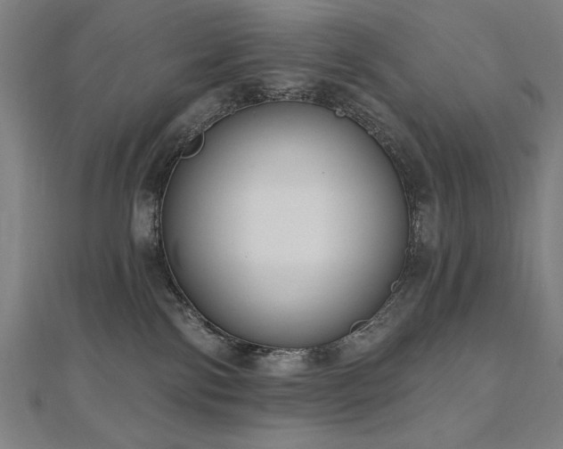X0000112520138200908171403