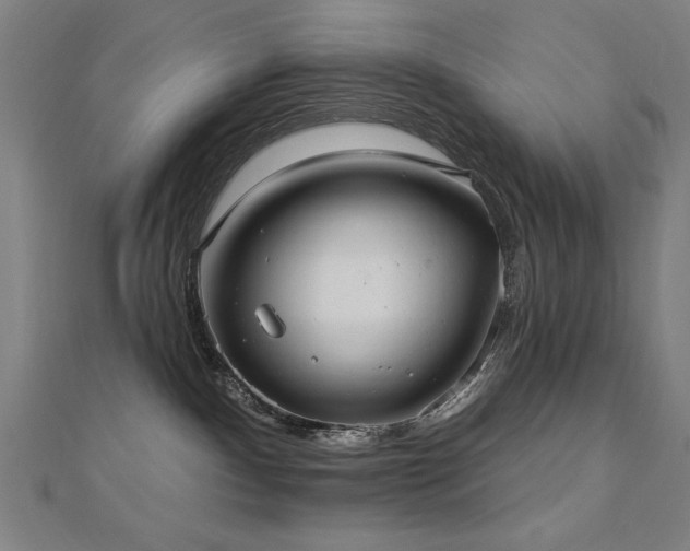 X0000112520140200908171403