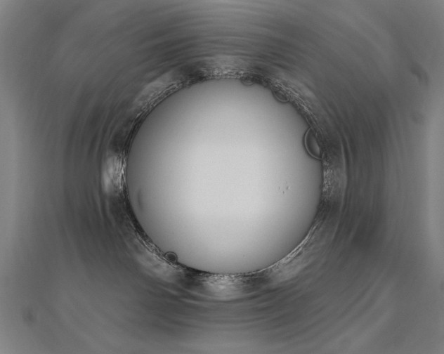 X0000112520142200908171403