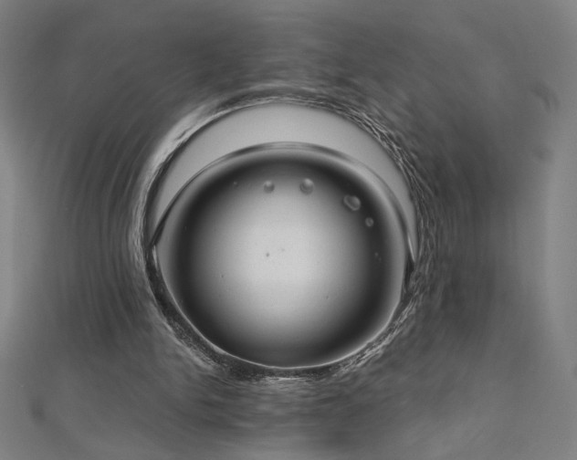 X0000112520150200908171402