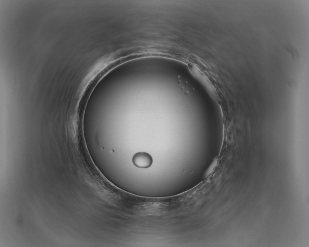 X0000112520152200908171402
