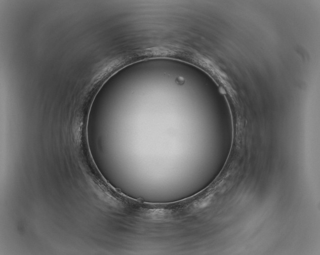 X0000112520153200908171402
