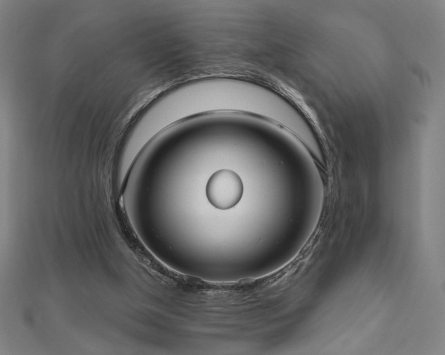 X0000112520154200908171402
