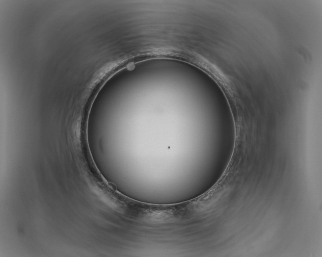 X0000112520155200908171402