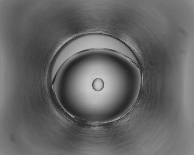 X0000112520156200908171402