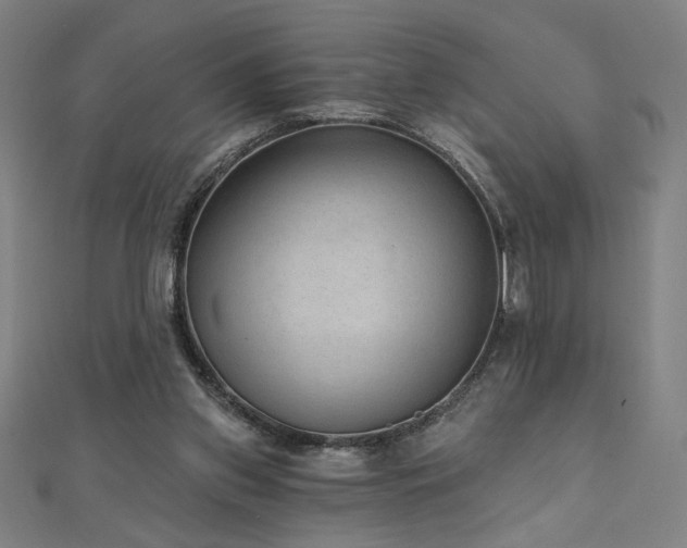 X0000112520157200908171402