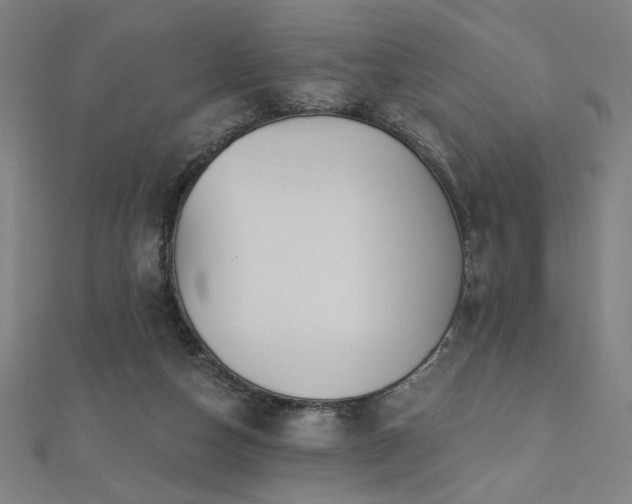 X0000112520162200908171402