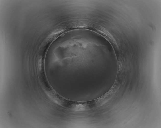 X0000112520163200908171402