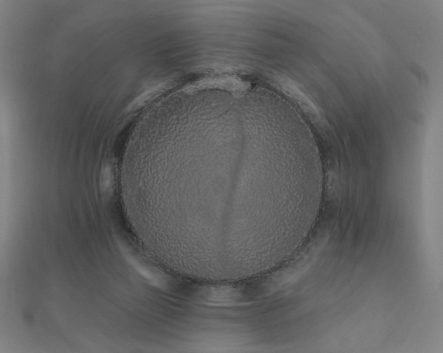 X0000112520165200908171402