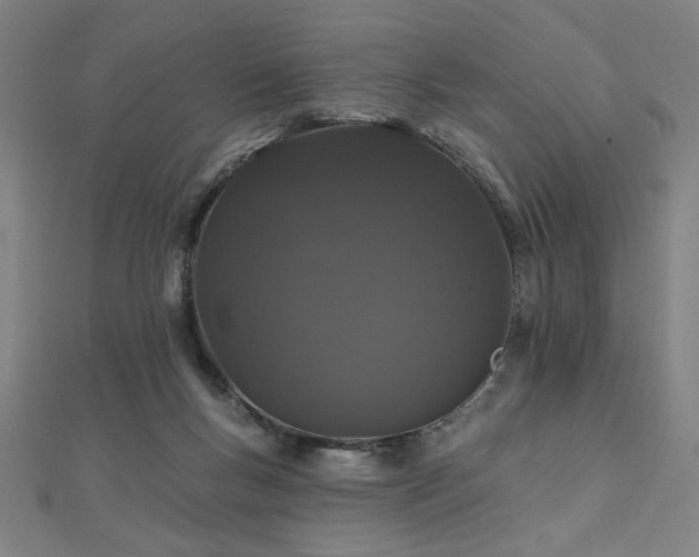 X0000112520167200908171402