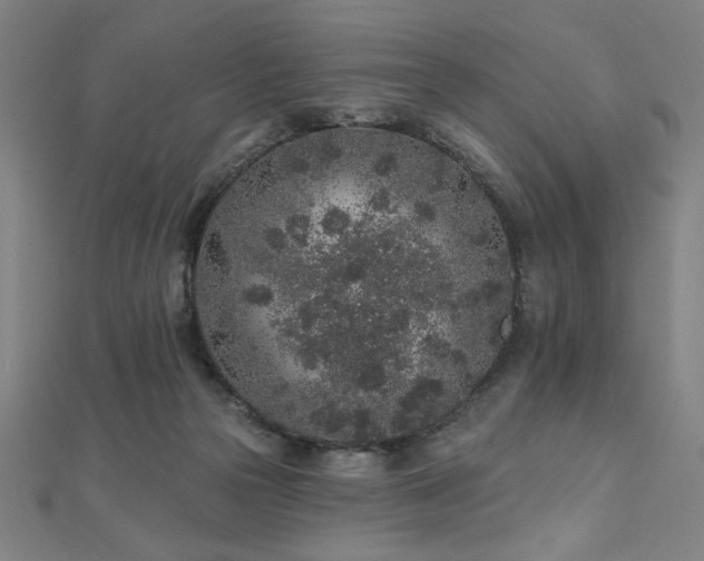X0000112520169200908171402
