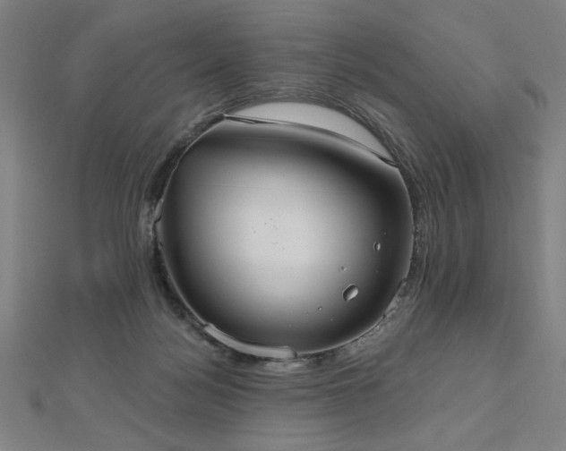 X0000112520172200908171402