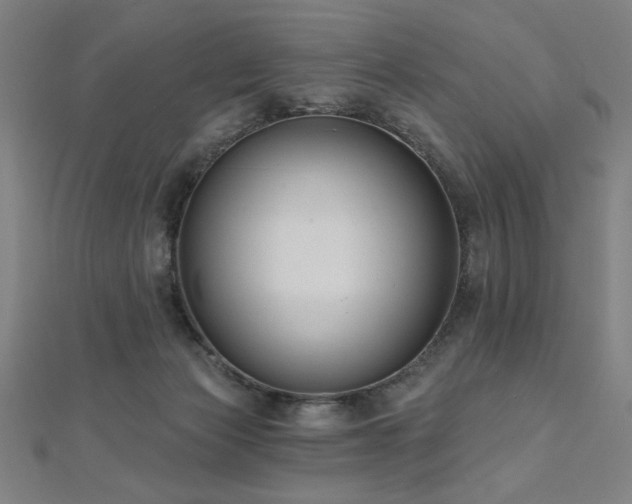 X0000112520173200908171402