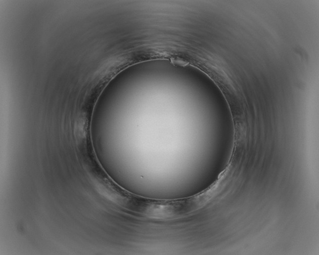 X0000112520174200908171402
