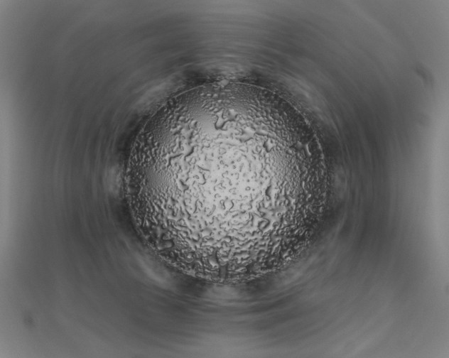 X0000112520177200908171402