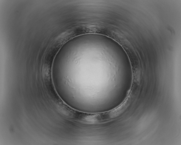 X0000112520178200908171402