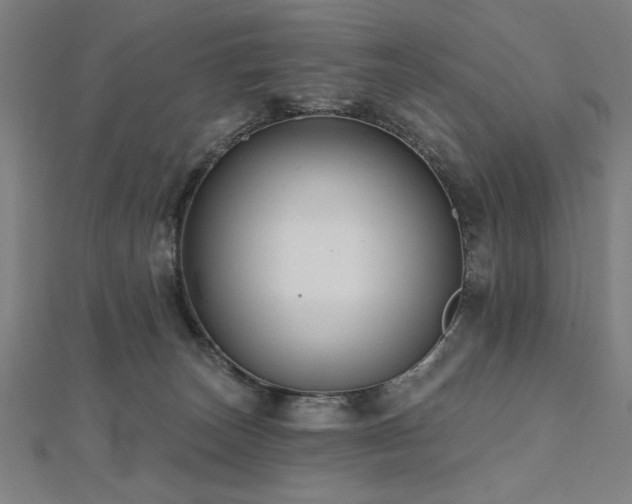 X0000112520179200908171402