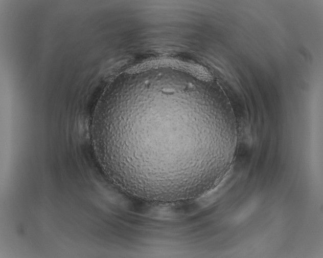 X0000112520182200908171402