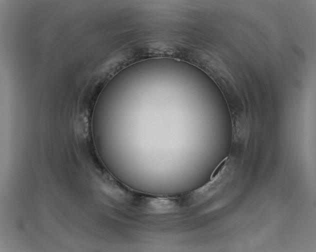 X0000112520183200908171402