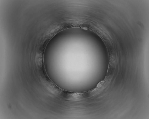 X0000112520184200908171402