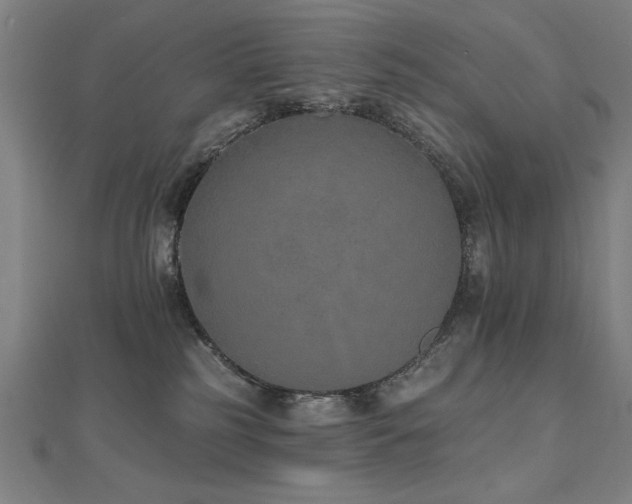 X0000112520185200908171402