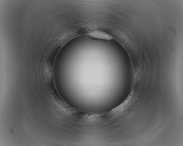 X0000112520186200908171402