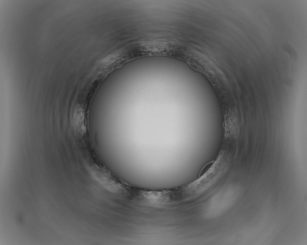 X0000112520187200908171402