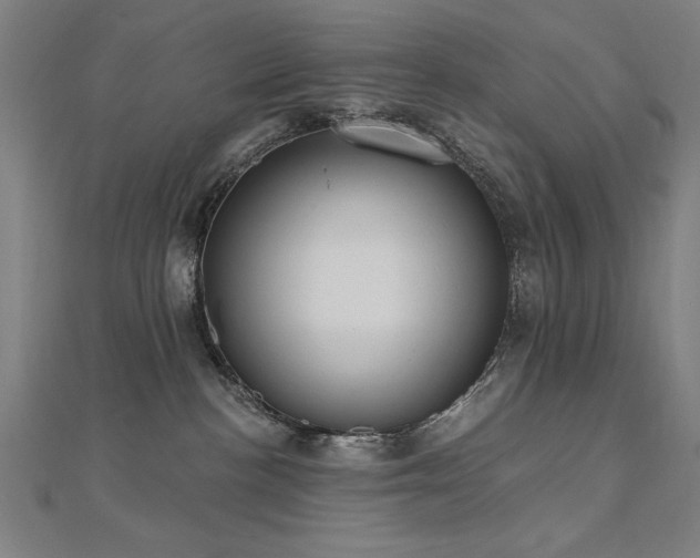 X0000112520188200908171402