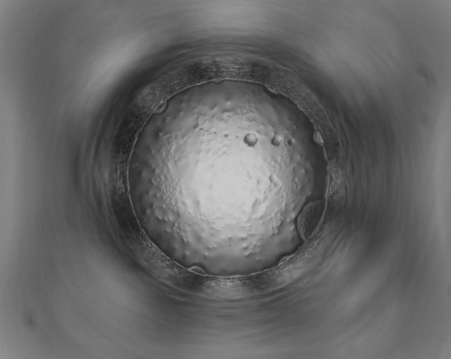 X0000112520189200908171402