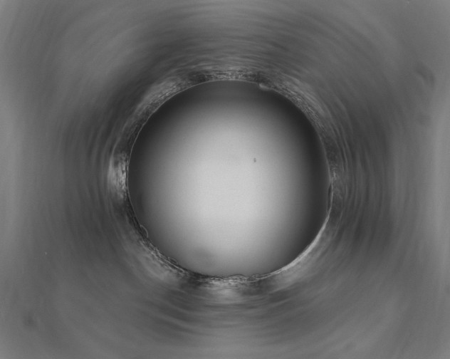 X0000112520190200908171402