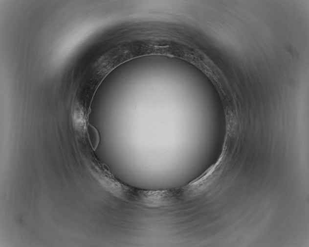 X0000112520191200908171402